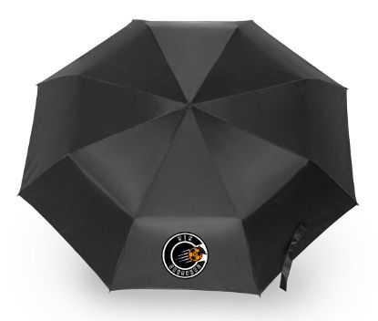 Picture of Black Folding Umbrella