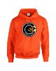 Picture of Hoodie (Kids and Adults Sizes)